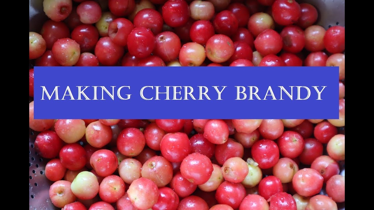 Making Cherry Brandy Simple and Delicious