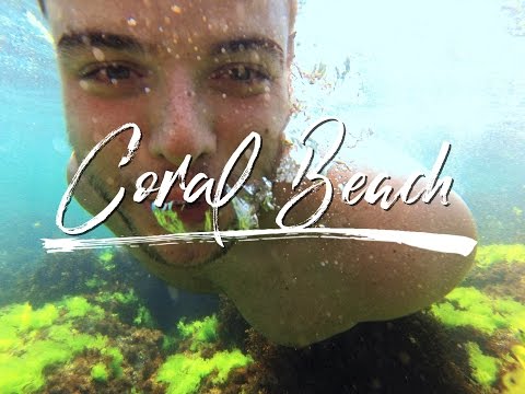 Coral Beach, 27-28 July 2016