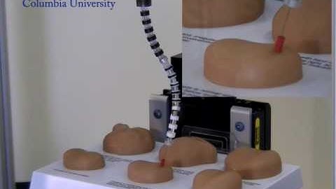 Snake-Like Continuum Robot Palpates a Prostate