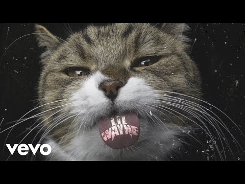 Lil Wayne – Kat Food (Visualizer)