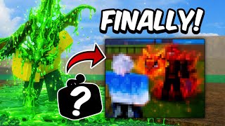 Blox Fruits Update 30 New Fruit FINALLY! Release Date + LEAKS..
