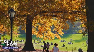 Autumn is here! We explain the science behind the changing seasons | Nightly News: Kids Edition
