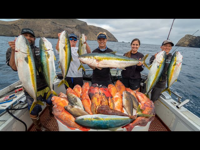 Found REMOTE Island Loaded with Fish! Catch n cook (California Deep Sea  Fishing) 