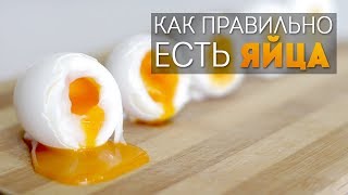 Как правильно есть яйца Как правильно есть яйца