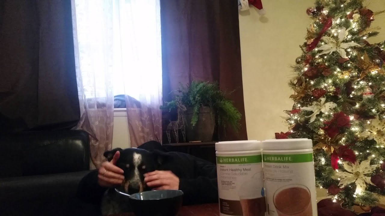 Herbalife - YouTube