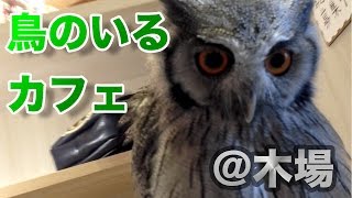 Tokyo鳥のいるカフェ - 猛禽カフェ