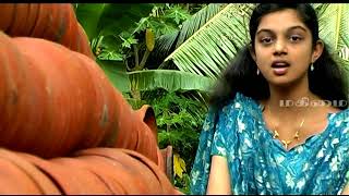 கிருபையிதே தேவ கிருபை | kirubaiyithe deva kirubaiyithe | #GospelMelodyForJesus | #ennimai | #Sweeton