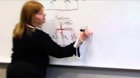 Series & Parallel Circuits & Ohm
