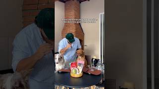 O QUE SERÁ QUE ELES REJEITARIAM? 🫪 #pitbull #bordercollie #blueheeler #rotinapet #alimentação #asmr