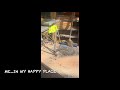Shop life is the best life!