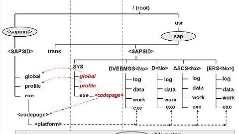 @sapbasishana SAP System Directories AND  SMICM & SICF