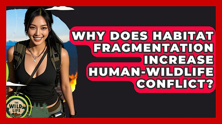 Why Does Habitat Fragmentation Increase Human-wildlife Conflict? - The Wild Life Explorer