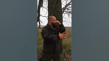 Что делать если напала собака и вцепилась в руку