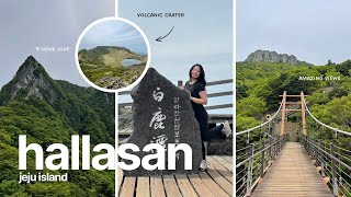 jeju island - hallasan vlog | hiking to the tallest point of south korea