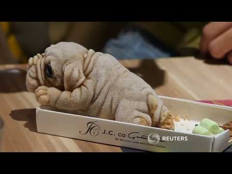 Video: Geniet Puppy Ice Cream By Hierdie Restaurant In Taiwan