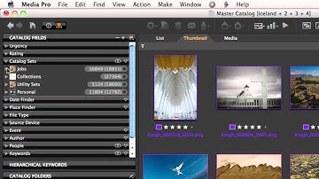 Capabilities | Media Pro Tutorial