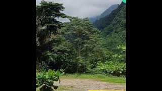 Khusus man nande ginting