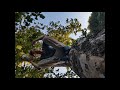 Can T Get Enough Griz Bezima Remix mp3