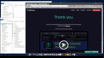 GitKraken 3.0.2 Windows 10 Problem