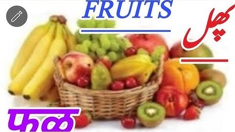 BRIDGE COURSE DAY 11 STD 3 EVS 1  ماحول کا مطالعہ جماعت سوّم11برج کورس دن