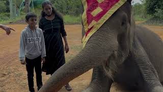 Elephant Feeding and Ride | Bintan (Indonesia) | Ajay Explorer | Singapore | Tamil