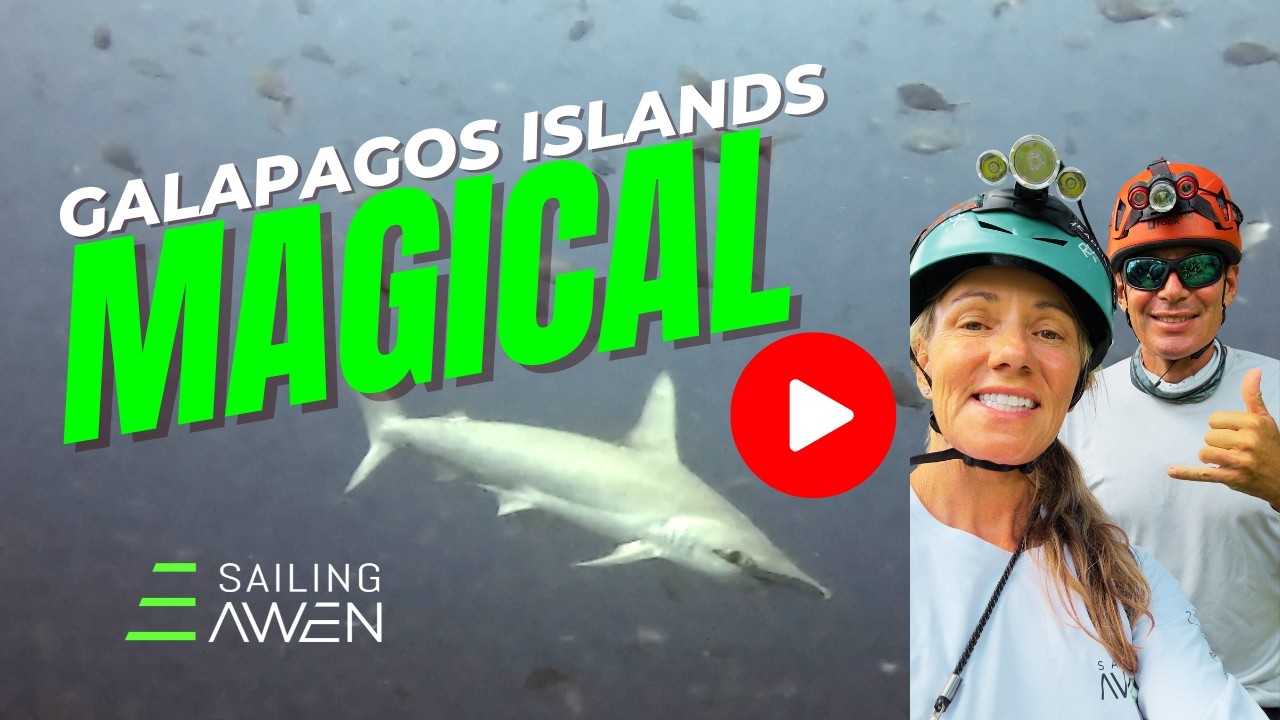 ⁣Sailing Magical Galapagos EP 125 #sailing #adventure #galapagos #travel