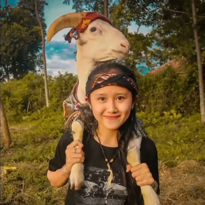 STORY WA DJ DANGDUT 30dtik.