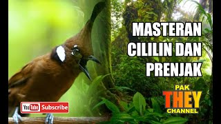 MASTERAN CILILIN DAN PRENJAK MASTER