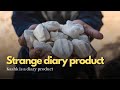 Strange And Delicious Diary Product Kashk Strange And Delicious Diary Product Kashk