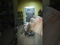 Где утечка в холодильнике BEKO #shorts