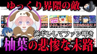 【ゆっくり解説】ゆっくり界隈の敵。柚葉の悲惨な末路