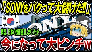 【海外の反応】韓国が日本の技術をパクりまくった結果…とんでもない事態に大発展【ゆっくり解説】