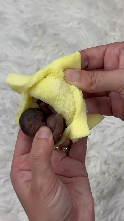 Birth of Silicone Baby From Star Womb | Doll Mystery Bag #doll