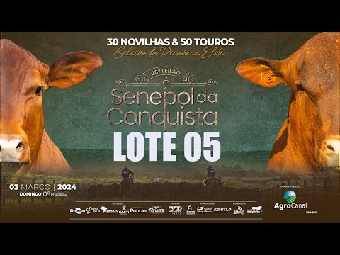 LOTE 05 CONQ 2484