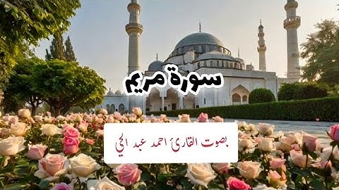 ما تيسر من سورة مريم بصوت  القارئ احمد عبد الحي|| يريح القلب استمع وارتح