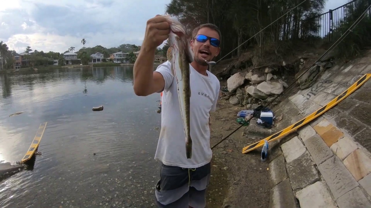 Urban Fishing in Sydney for Flathead EP1 YouTube