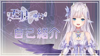 「【自己紹介】堕天使・天羽しゅいです！【新人Vtuber】」のサムネイル