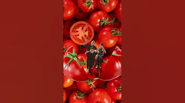 انا البندورة الحمراء 