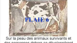 Bible, Plaies, Égypte - Ii Le Bref Repos De Santorin, Cest-À-Dire Plaies 5-8
