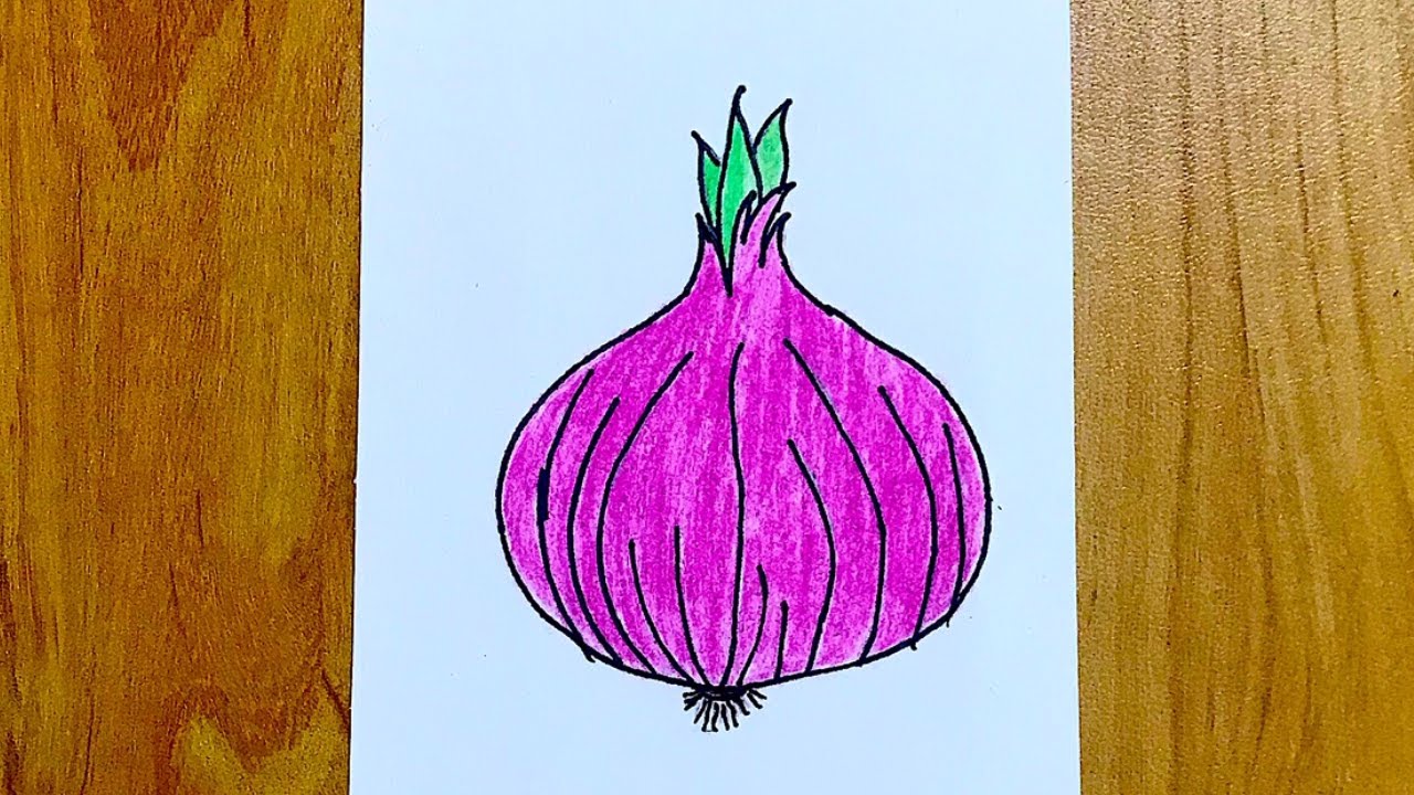 Drawing of Onion by Loves - Drawize Gallery!