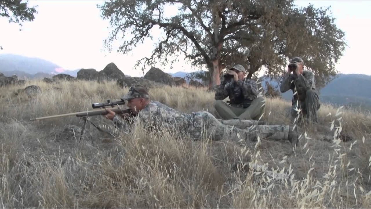 Hunting Illustrated - California Tule Elk 