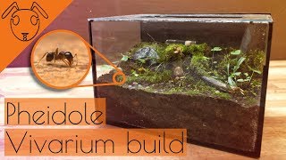 Pheidole Vivarium Build *Tutorial*