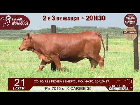 LOTE 21 CONQ 921