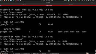 How to use the HOST command on Linux to query DNS records and reverse IP records (Ubuntu)