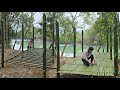 With her small hands, Little Anh built a sturdy bamboo floor to protect her pets from wild animals.