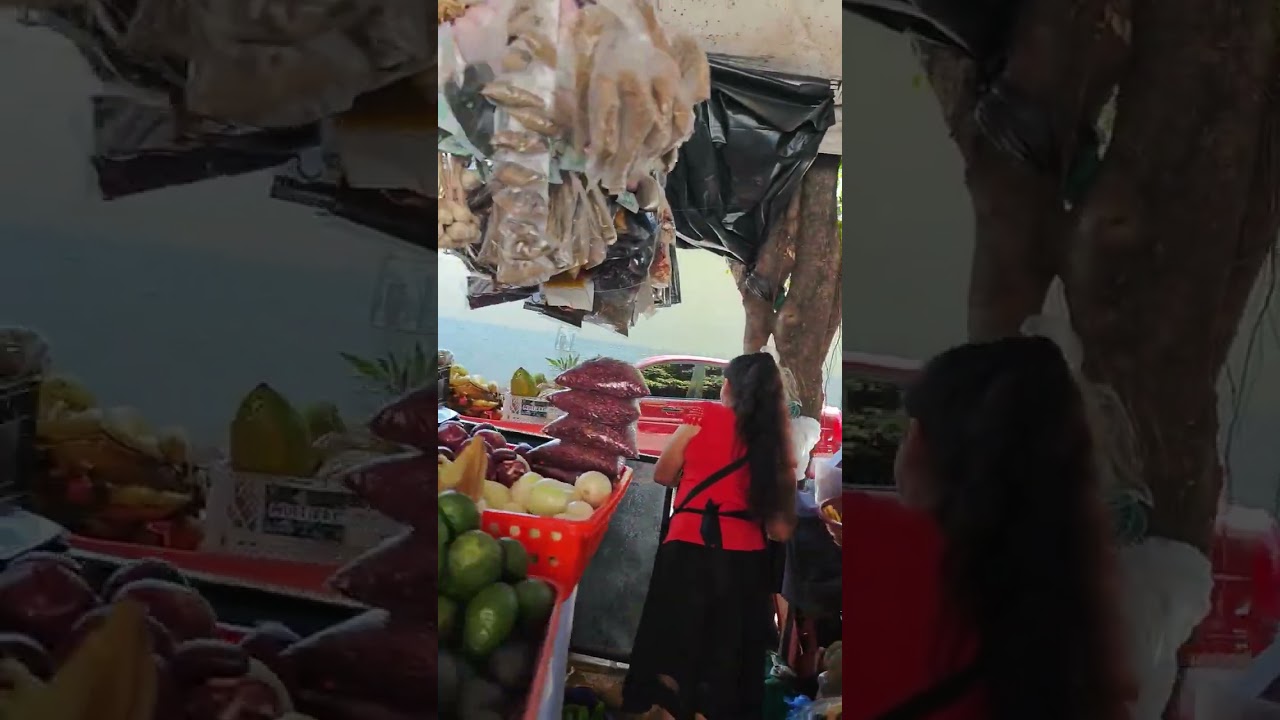 Mercado san juan opico