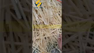 Edible Rice Drinking Straw Production Line
