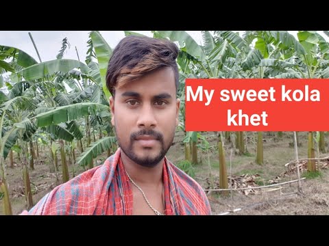 My Kola khet video vlogs video editing software free