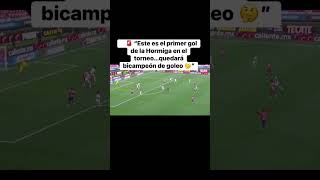 🚨 “Este es el primer gol de la Hormiga en el torneo…quedará bicampeón de goleo 🤔”