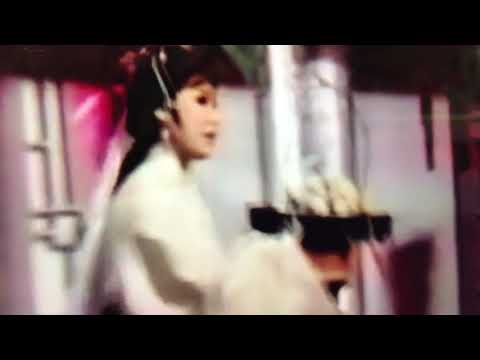 瓊花仙子(月圓花好）